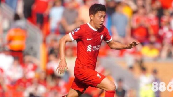 沙巴体育手机版官网是否值得下载？看看这些分析